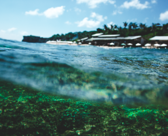 Yalova In A Splash
